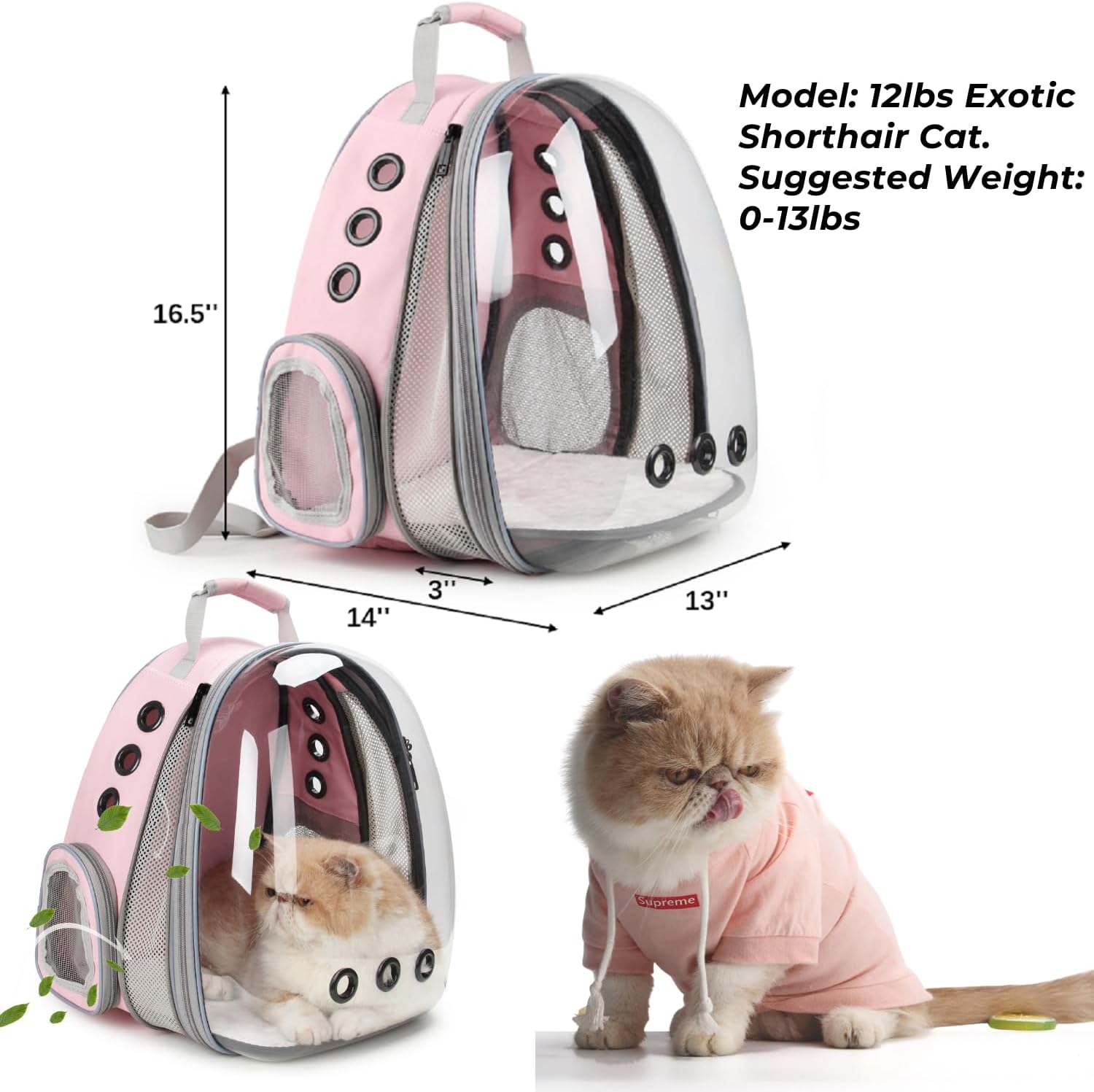 Space Capsule Pet Backpack With Expandable Front Section