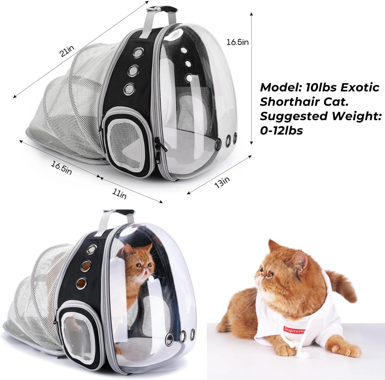 Expandable "Space Capsule" Style Cat Travel Backpack