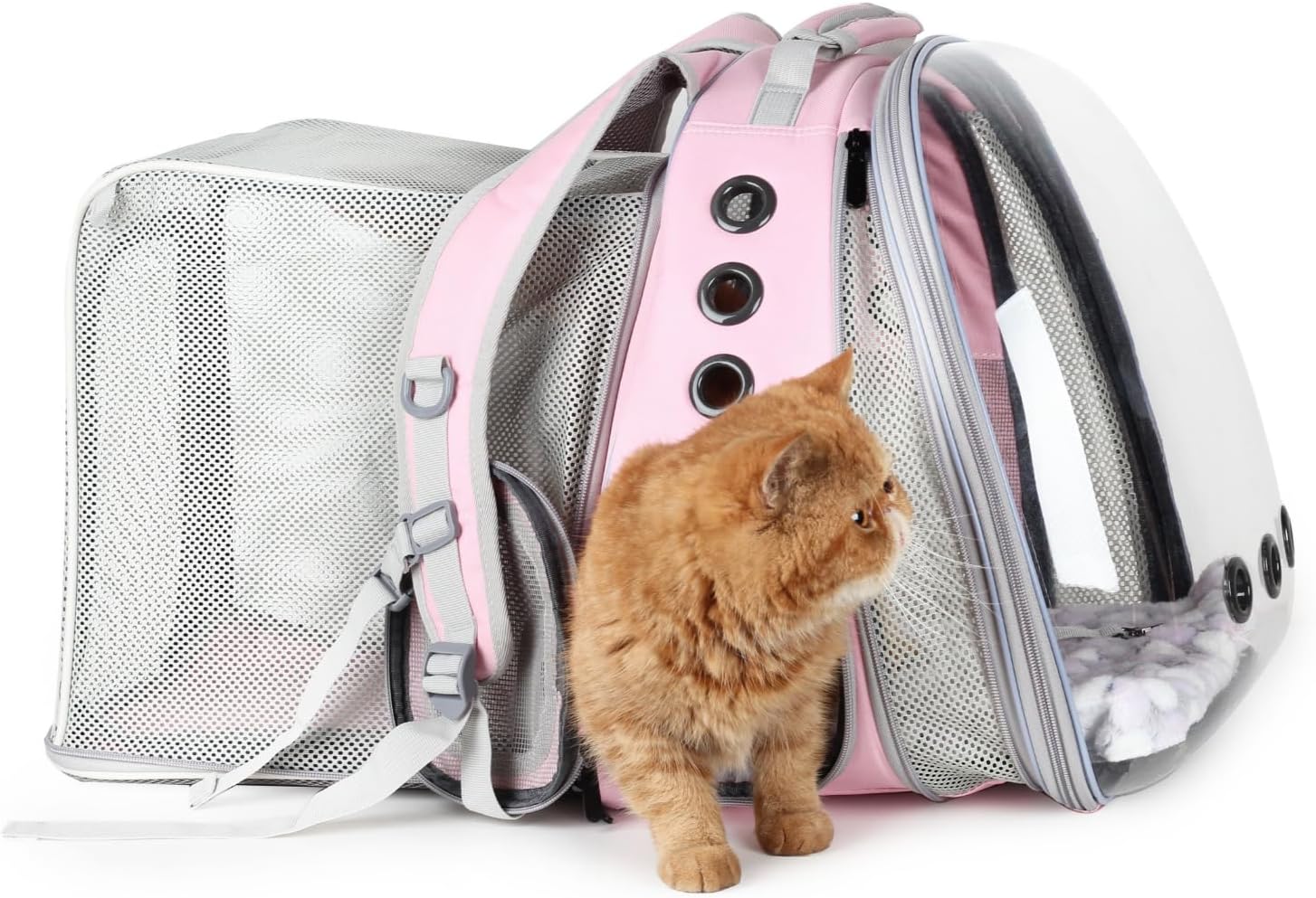 Airline-Approved Pet Backpack With Dual-Side Expansion