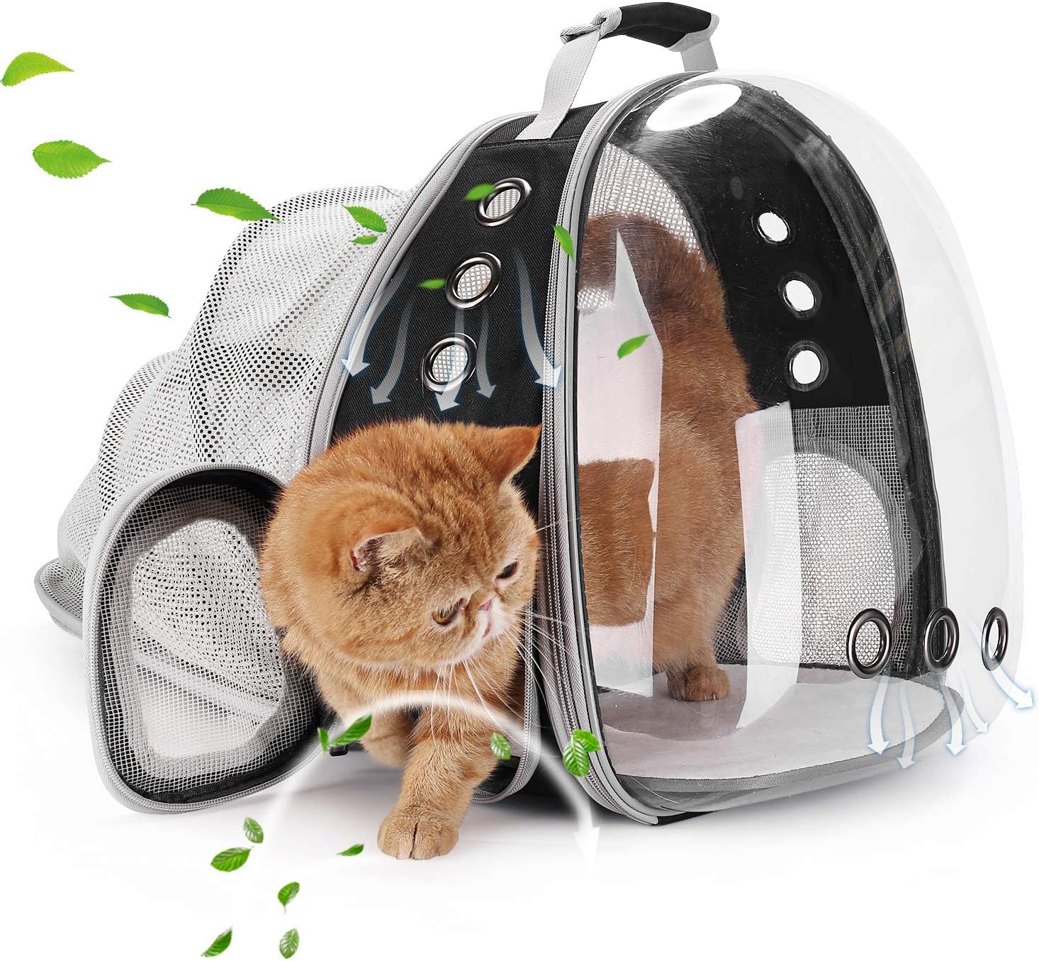 Expandable "Space Capsule" Style Cat Travel Backpack